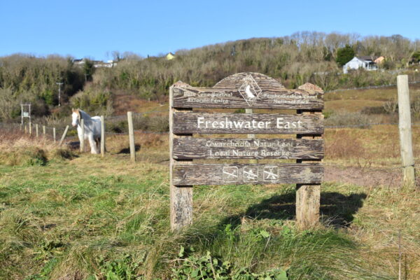 Trewent Hill, Freshwater East, Pembroke